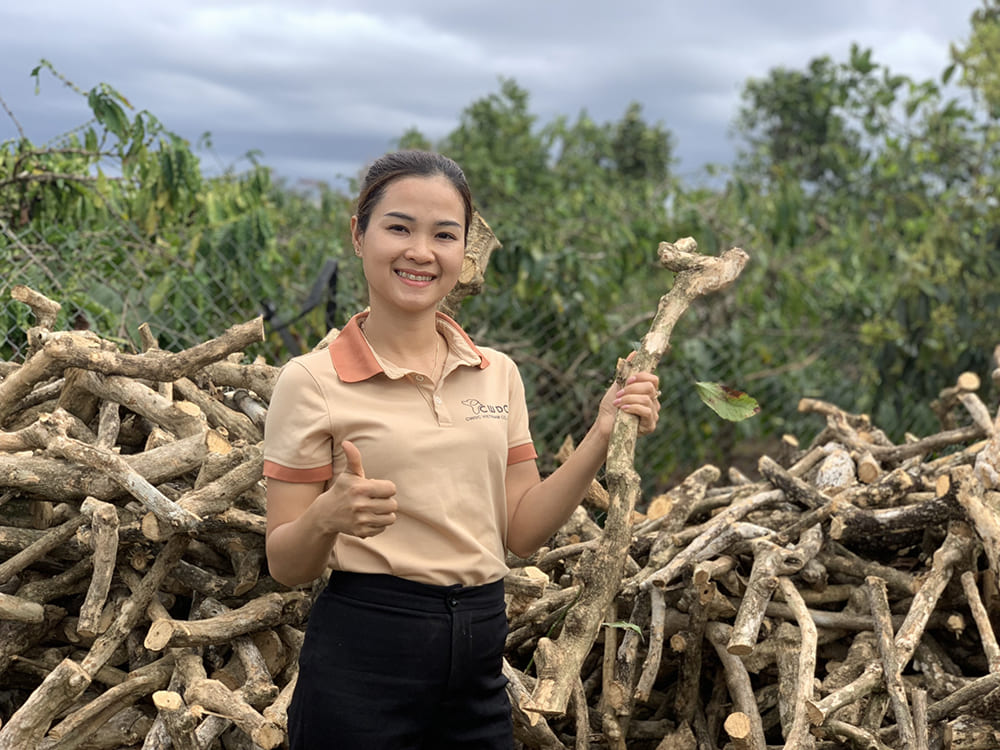 Zabawka z drewna kawy - zalety siły roboczej farmerów z Wietnamskich Wysoczyzn Centralnych